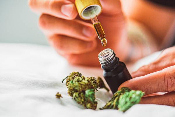 Why More People Are Choosing CBD Oil for Their Wellness Routine