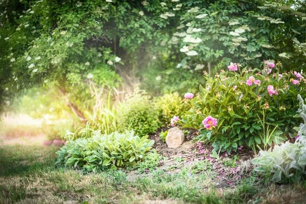 Designing Your Dream Hosta Garden